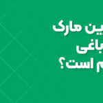 بهترین مارک تیلر باغی کدام است؟ مقایسه‌ای کامل برای انتخاب کاربردی