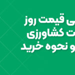 بررسی قیمت روز ادوات کشاورزی تیلر و نحوه خرید